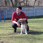 agility-beagle roki i patrycja